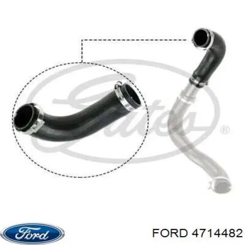 Шланг/патрубок інтеркуллера Ford 4714482
