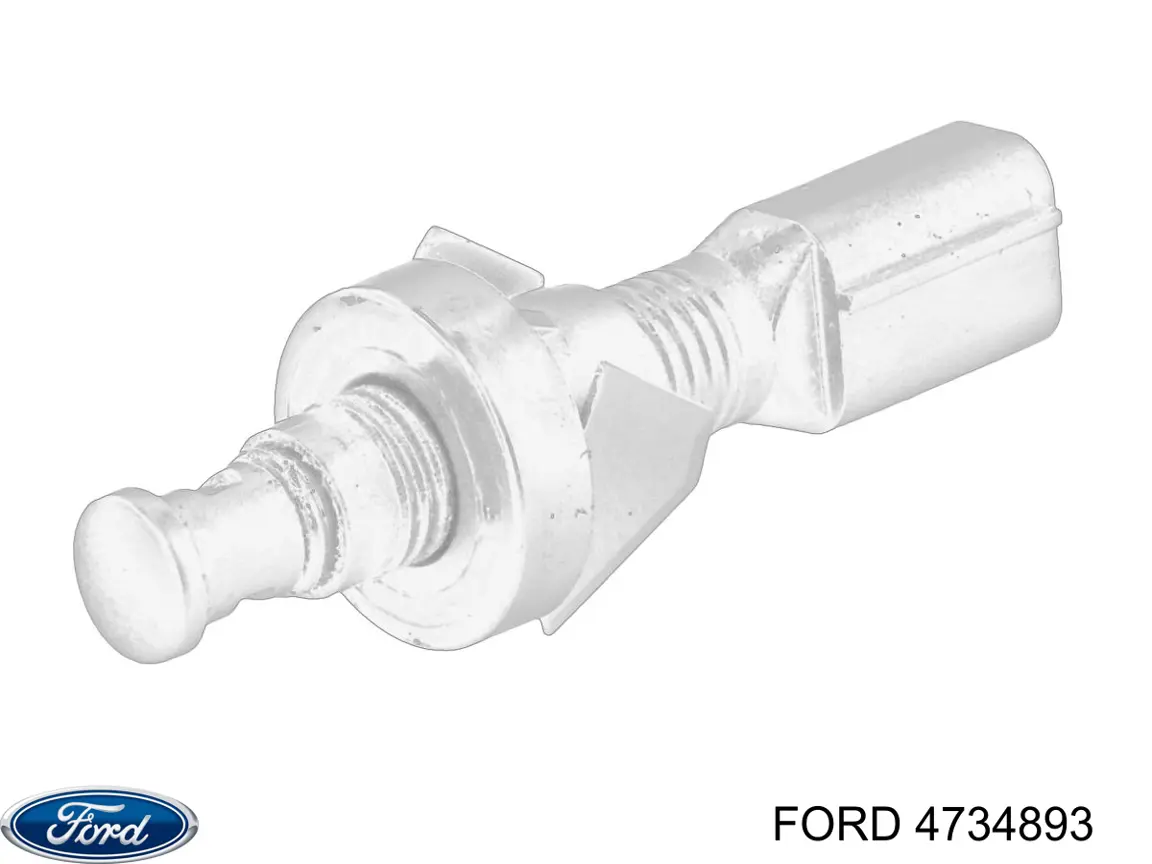 Купити 4734893 Ford Захисна решітка радіатора