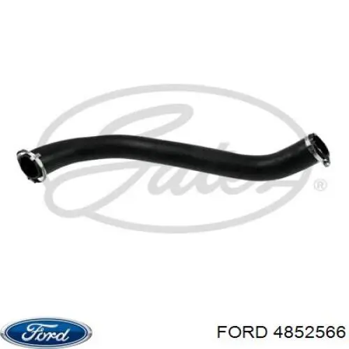 Купити 8C166C646AC Ford Шланг/патрубок интеркуллера