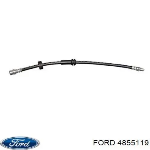 4855119 Ford 