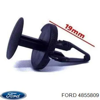 Купити 4855809 Ford Пістон (кліп) кріплення бампера, переднього