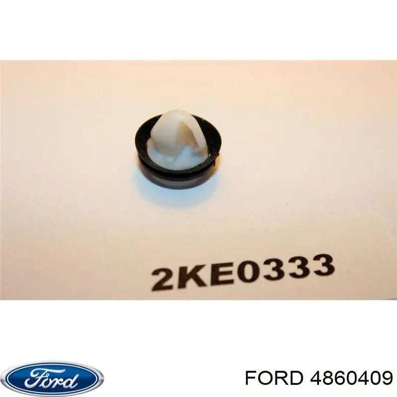  4860409 Ford