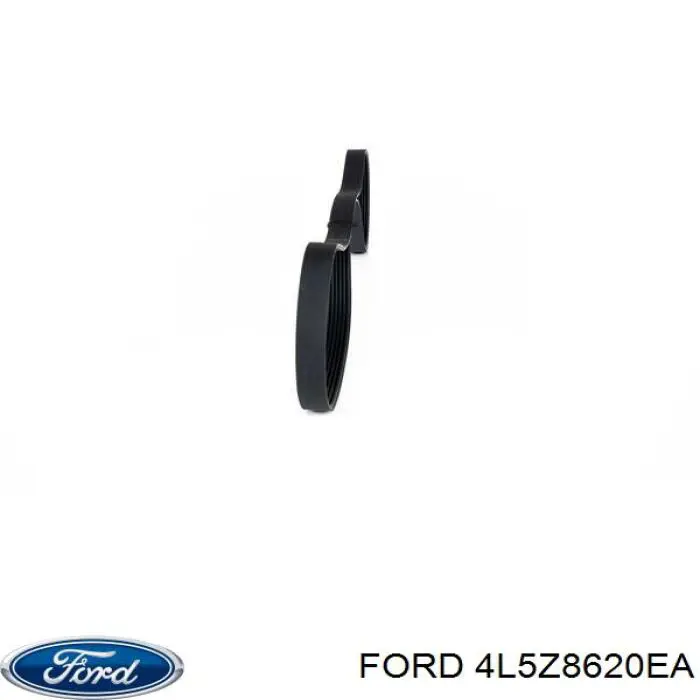 4L5E8620EA Ford Поліклиновий ремінь