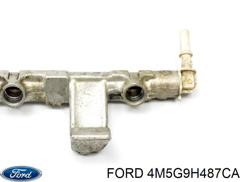  4M5G9H487CA Ford