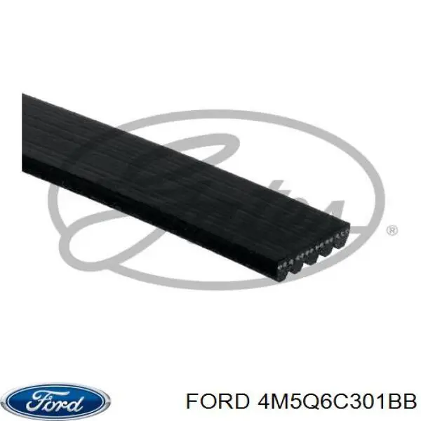 Купити 4M5Q6C301BB Ford Ремінь генератора