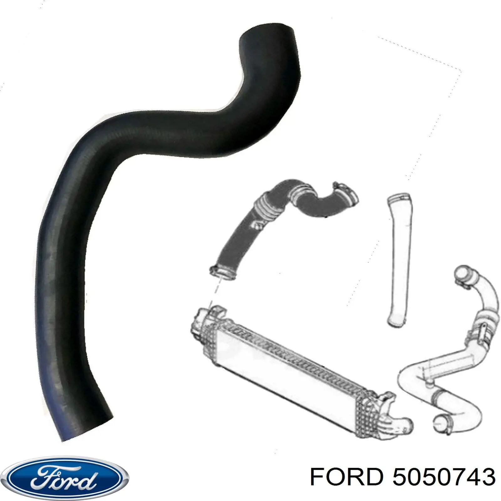 Купити 5050743 Ford Шланг/патрубок интеркуллера