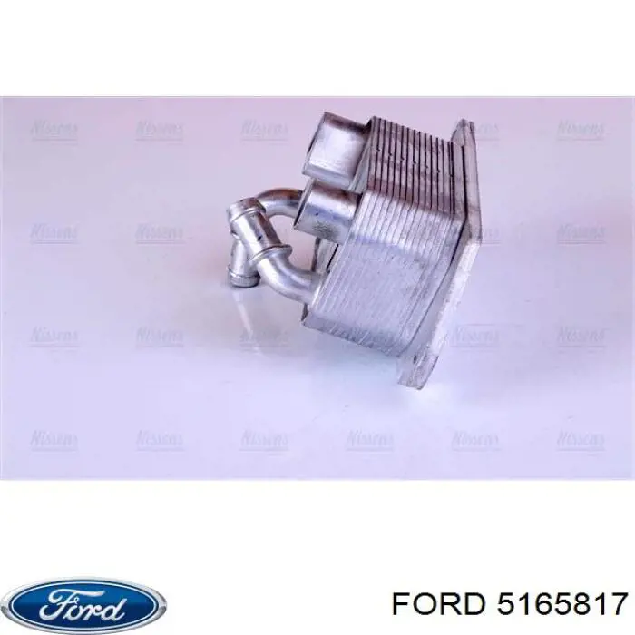 5165817 Ford Радіатор охолодження, АКПП