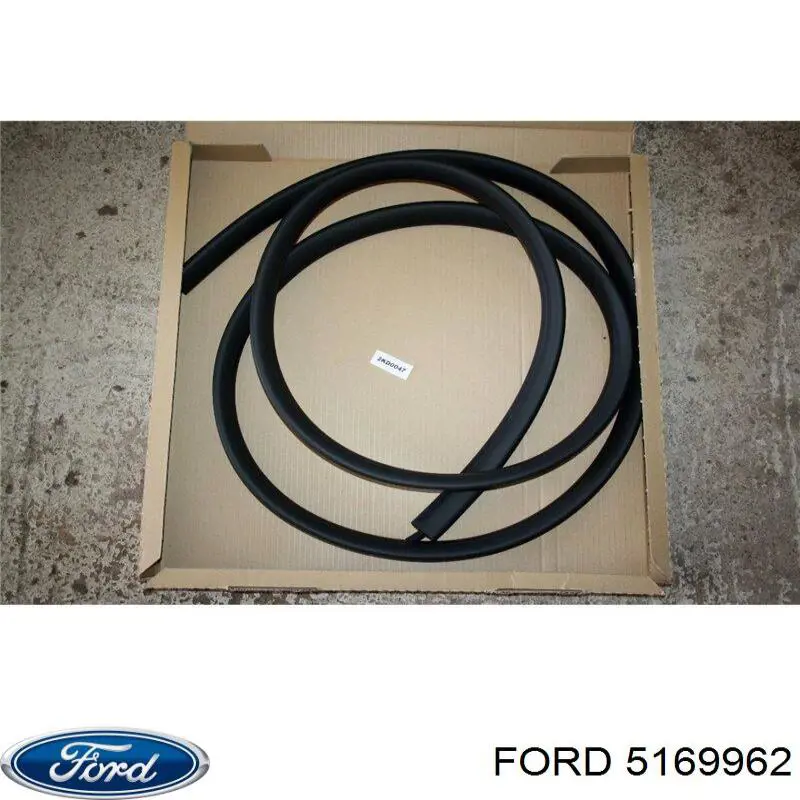 Ущільнювач двері передньої правої (на кузові) Ford 5169962 ціна, від 34.98 USD