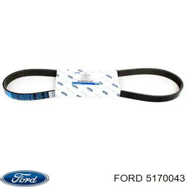 5170043 Ford Поліклиновий ремінь