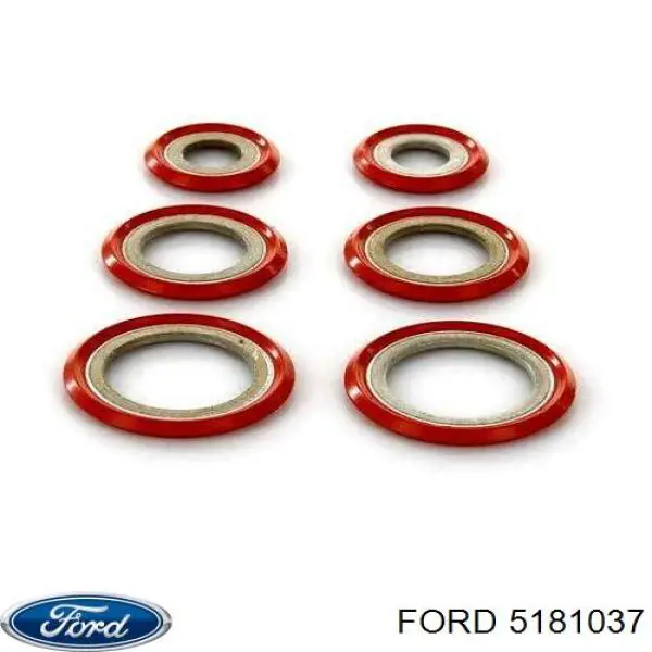 Кільце ущільнювальне трубки кондиціонера Ford Focus 4 (HM) (Форд Фокус)
