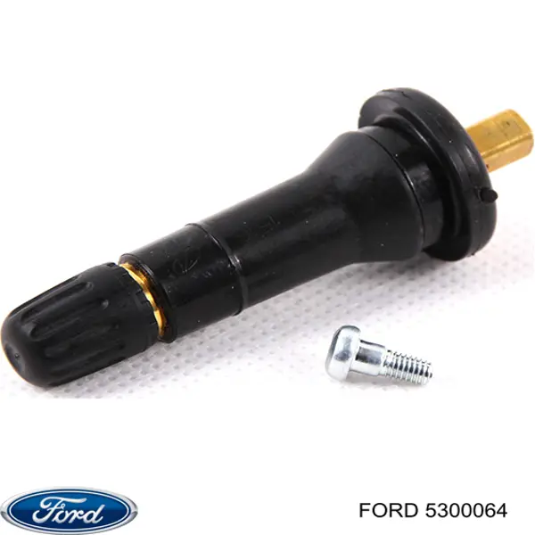 Купити 5300064 Ford Вентиль для колеса