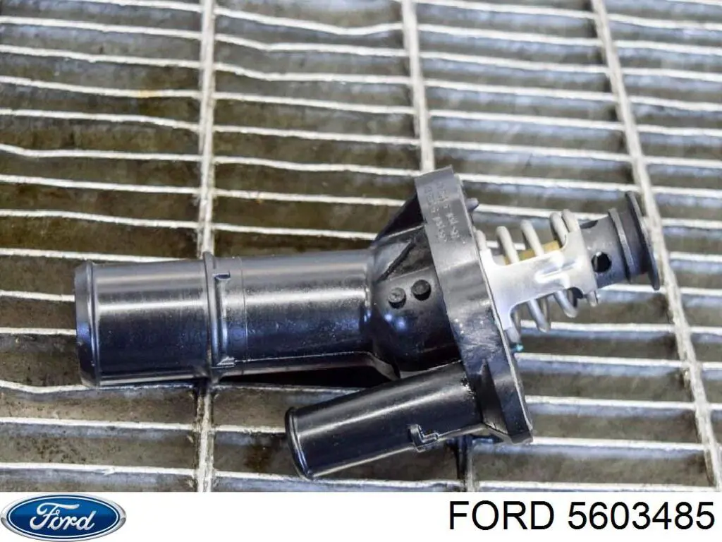  5603485 Ford