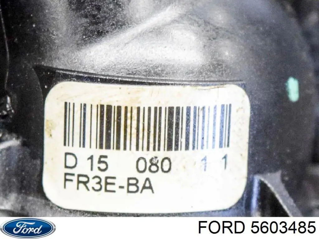 5603485 Ford 