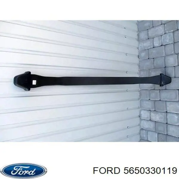5650330119 Ford Ресора (задня)