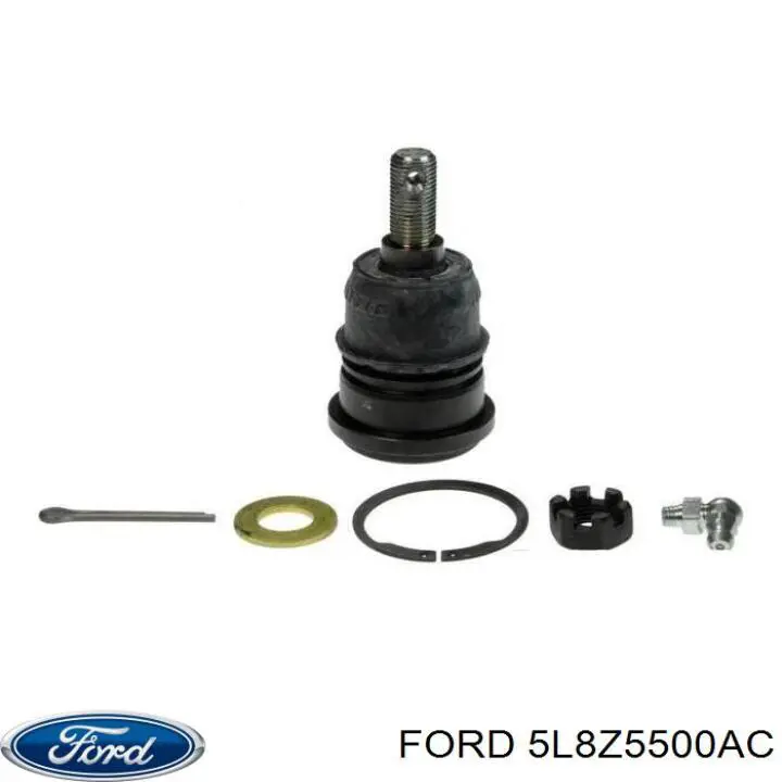 Важіль задньої підвіски нижній, правий 5L8Z5500AC Ford