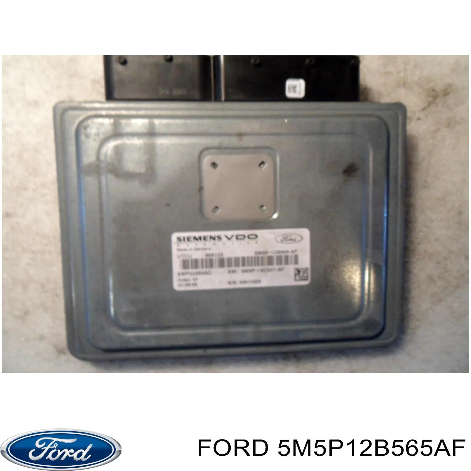 5M5P12B565AF Ford 