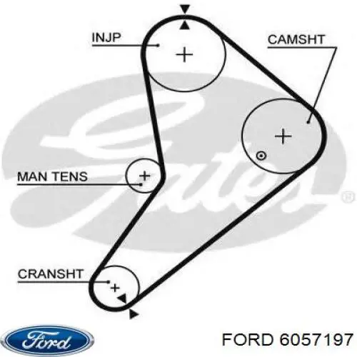 Ремінь ГРМ 6057197 Ford