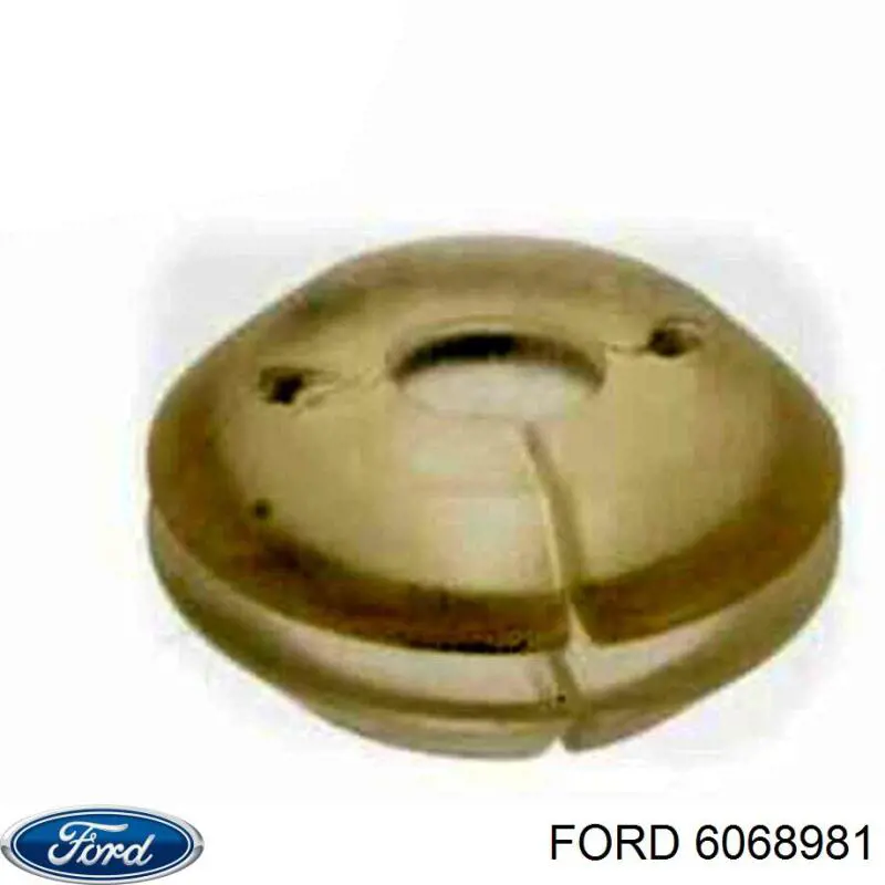  Ford 6068981 ціна, від 1.07 USD