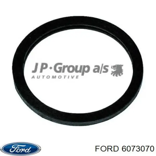 Купити 6073070 Ford Прокладка термостата