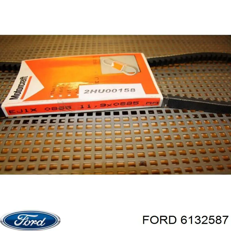 Купити 6132587 Ford Ремінь генератора