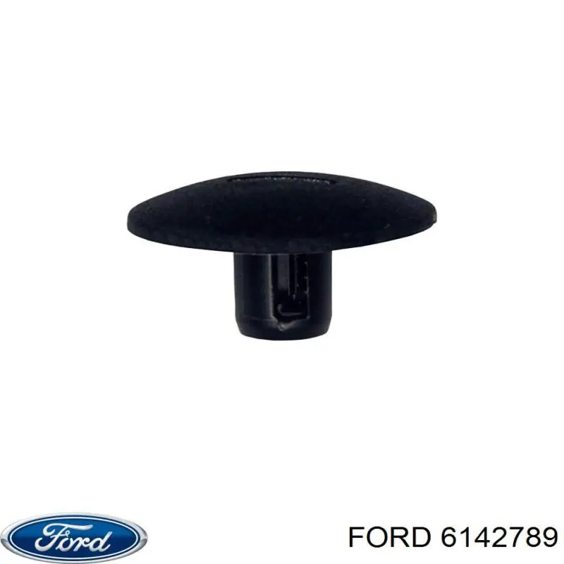 Купити 00006995X9 Peugeot/Citroen Пістон (кліп) кріплення підкрилки переднього крила