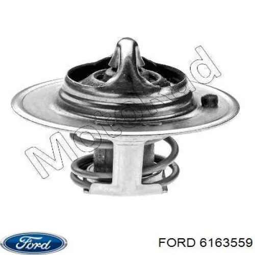 Купити 6163559 Ford Термостат в корпусі
