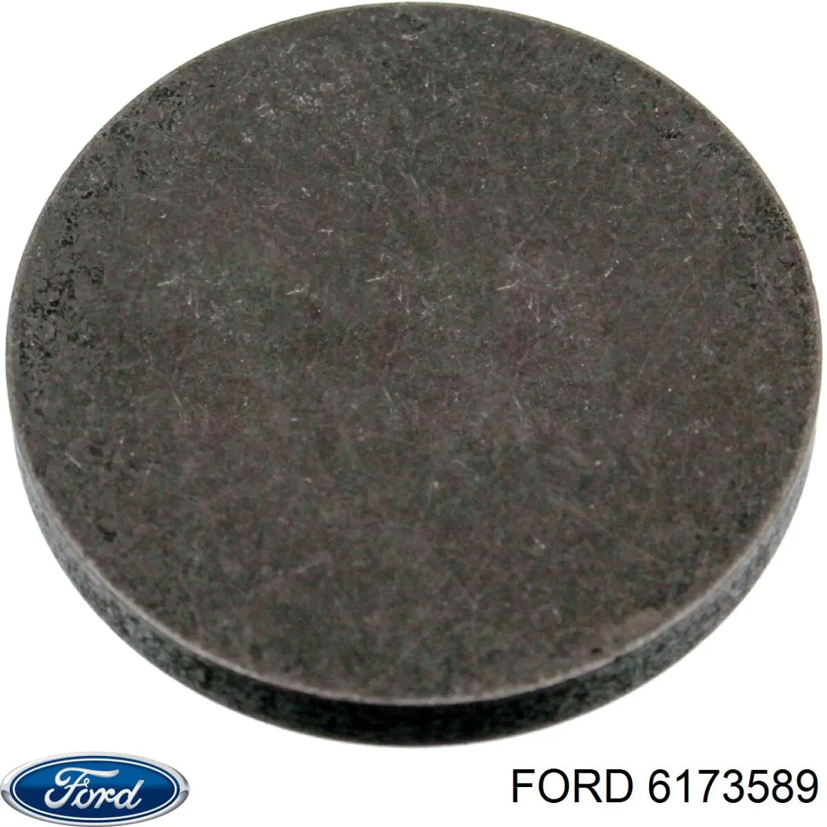  6173589 Ford