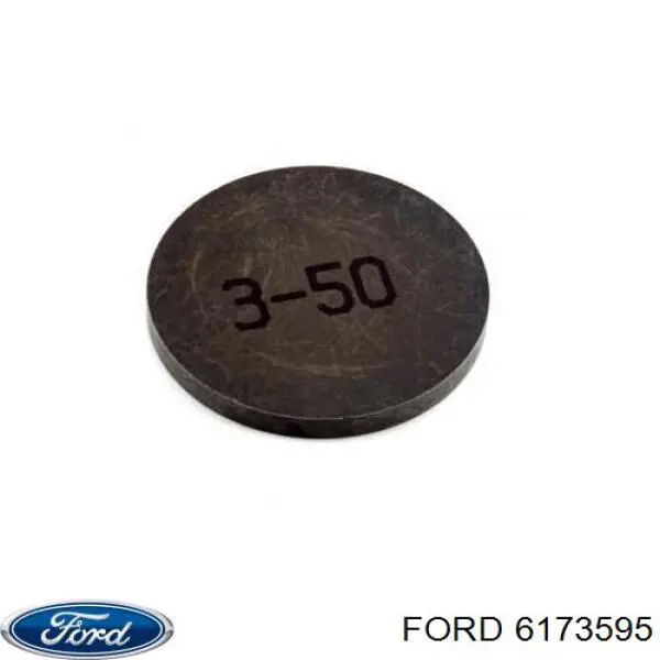  6173595 Ford