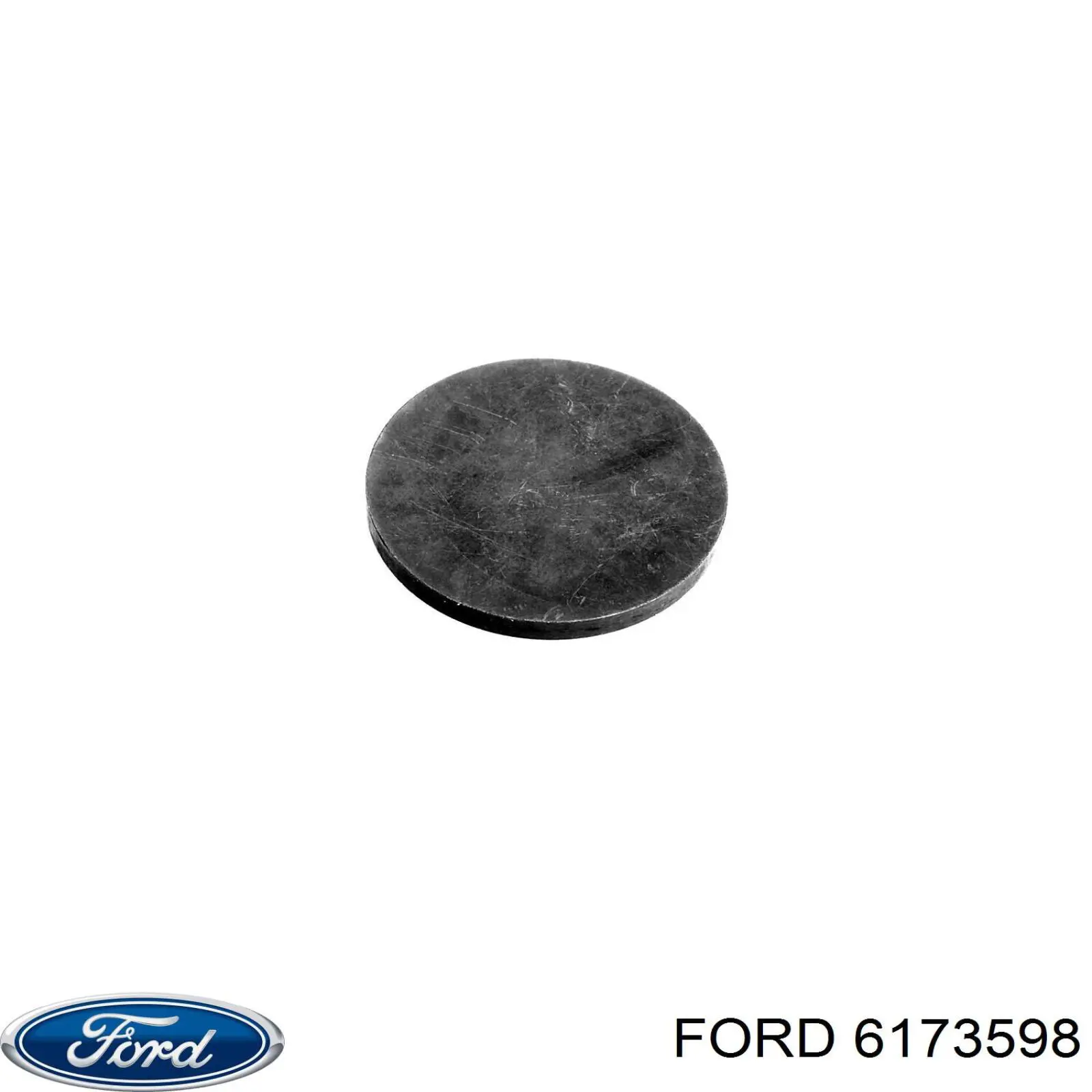 6173598 Ford шайба регулювальна