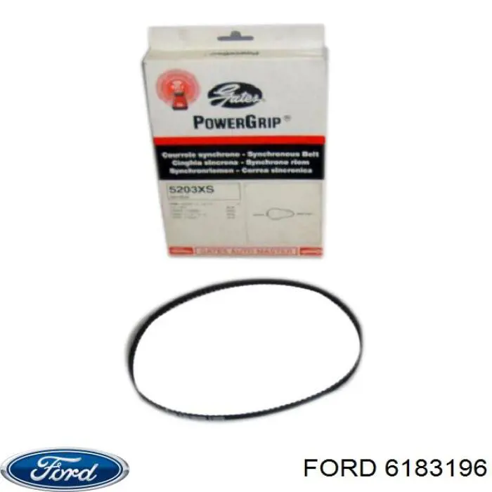 86AB2M016AB Ford Ремінь двигуна