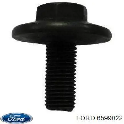  6599022 Ford