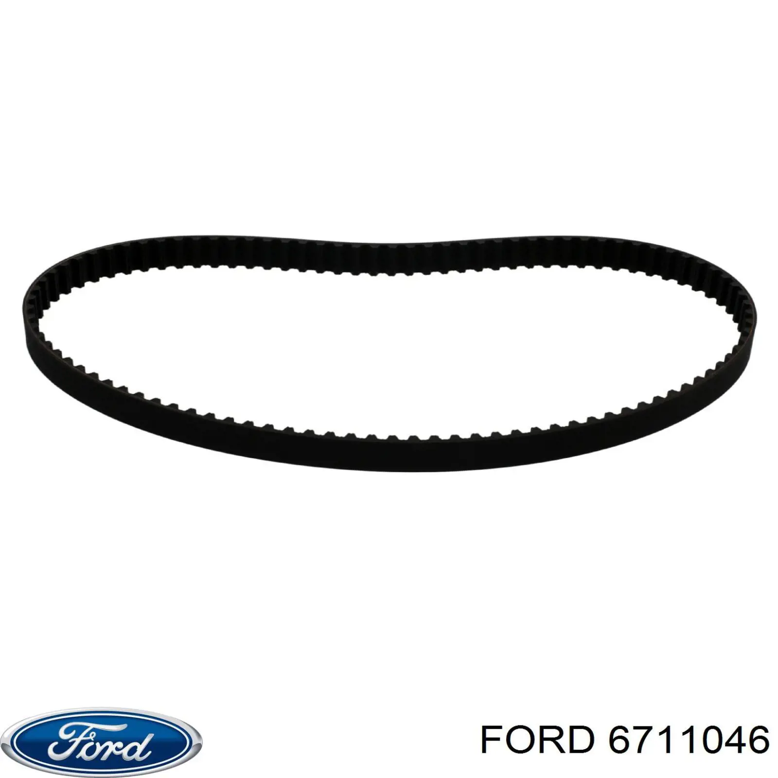 Купити 6711046 Ford Ремінь газорозподільного механізму