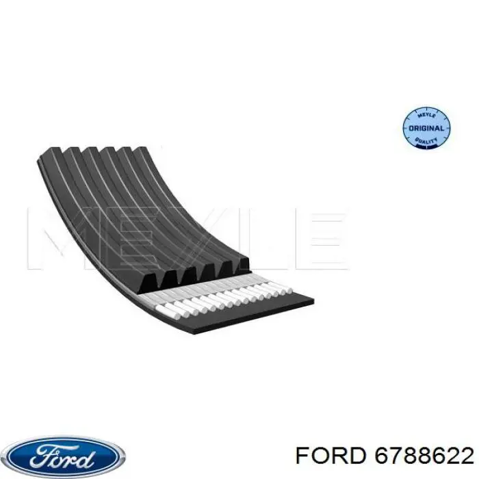 Купити 6788622 Ford Ремінь генератора