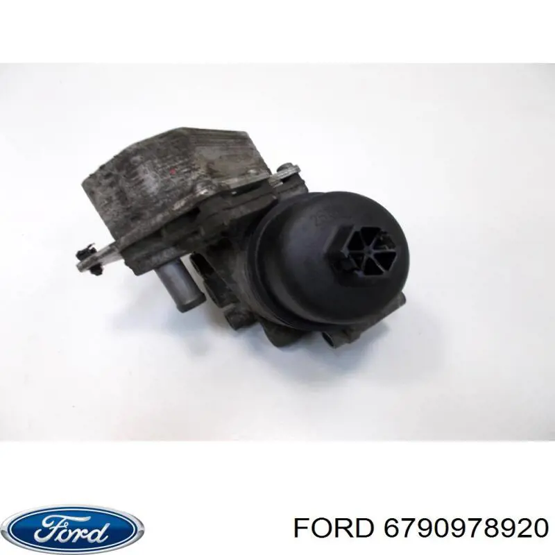  6790978920 Ford