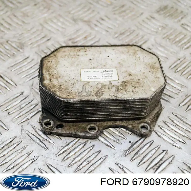 6790978920 Ford 
