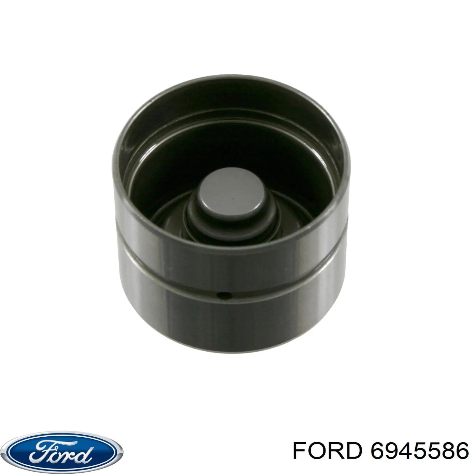  1663393 Ford