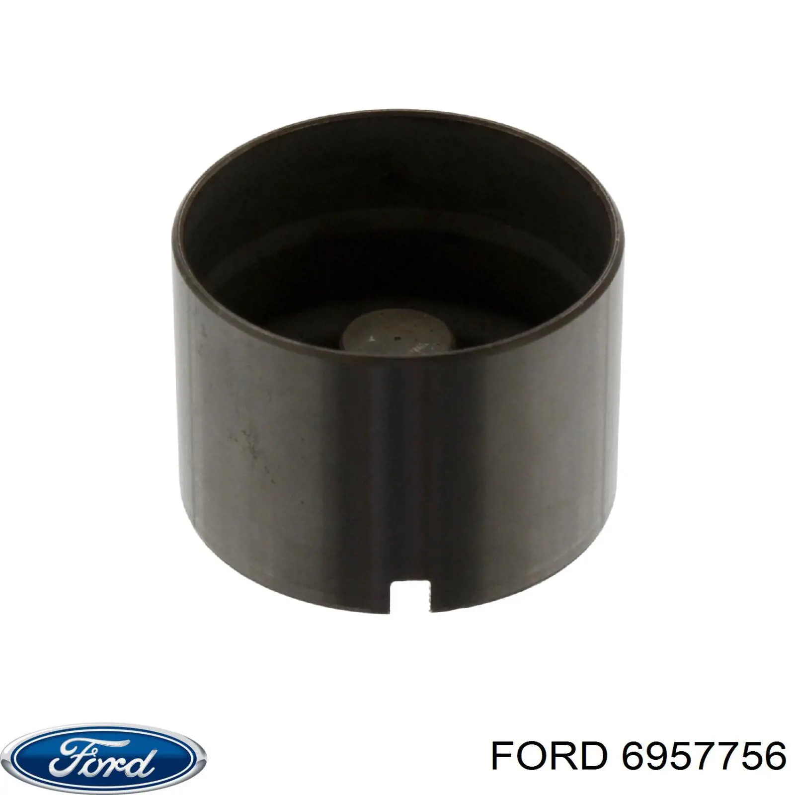 Купити 6957756 Ford Штовхач клапанів двигуна