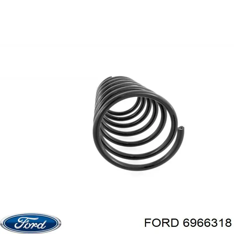 Купити 6966318 Ford Задні пружини