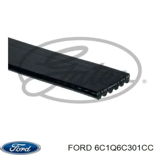 Купити 6C1Q6C301CC Ford Ремінь генератора