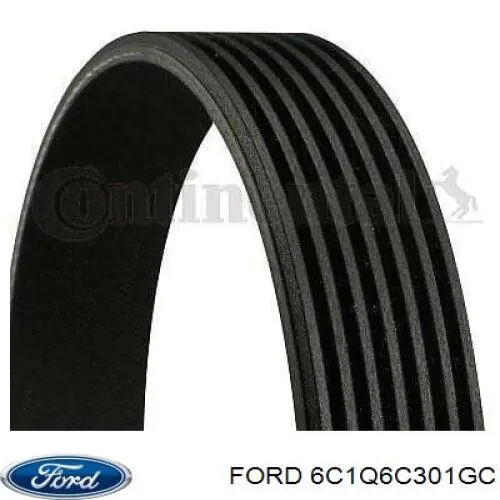 Купити 6C1Q6C301GC Ford Ремінь генератора