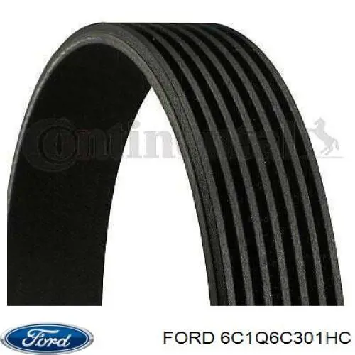 6C1Q6C301HC Ford Поліклиновий ремінь