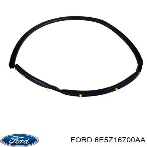 Купити 6E5Z16700AA Ford 