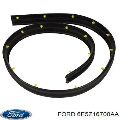 6E5Z16700AA Ford 