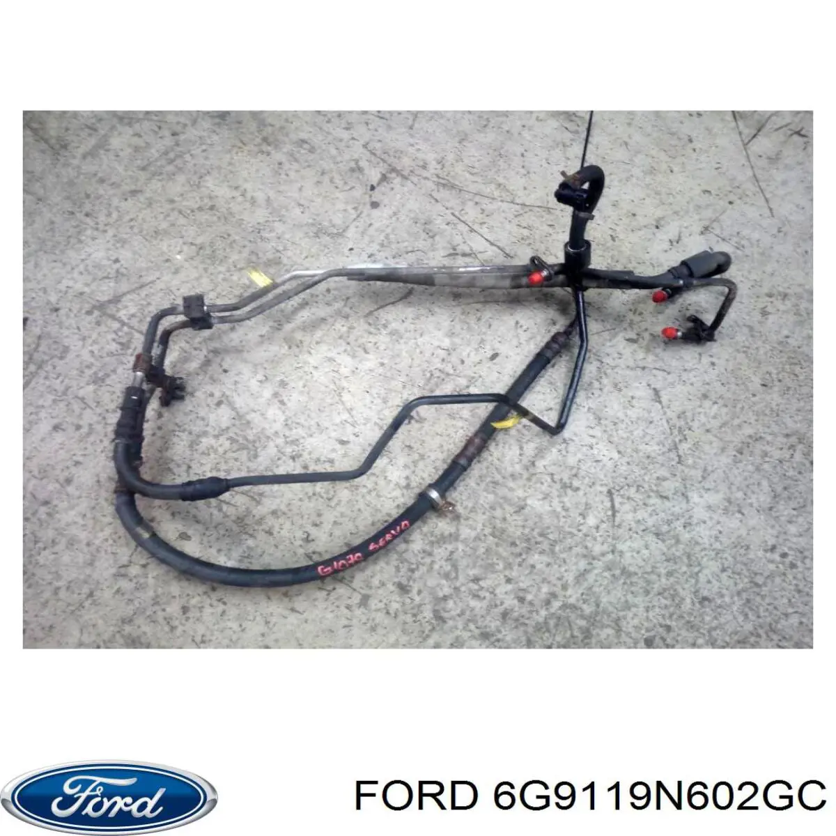  1682217 Ford