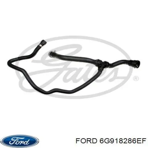 Купити 6G918286EF Ford Шланг/патрубок радіатора охолодження, верхній