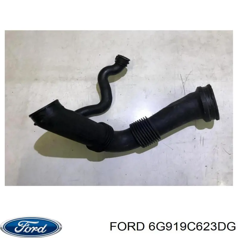  6G919C623DG Ford