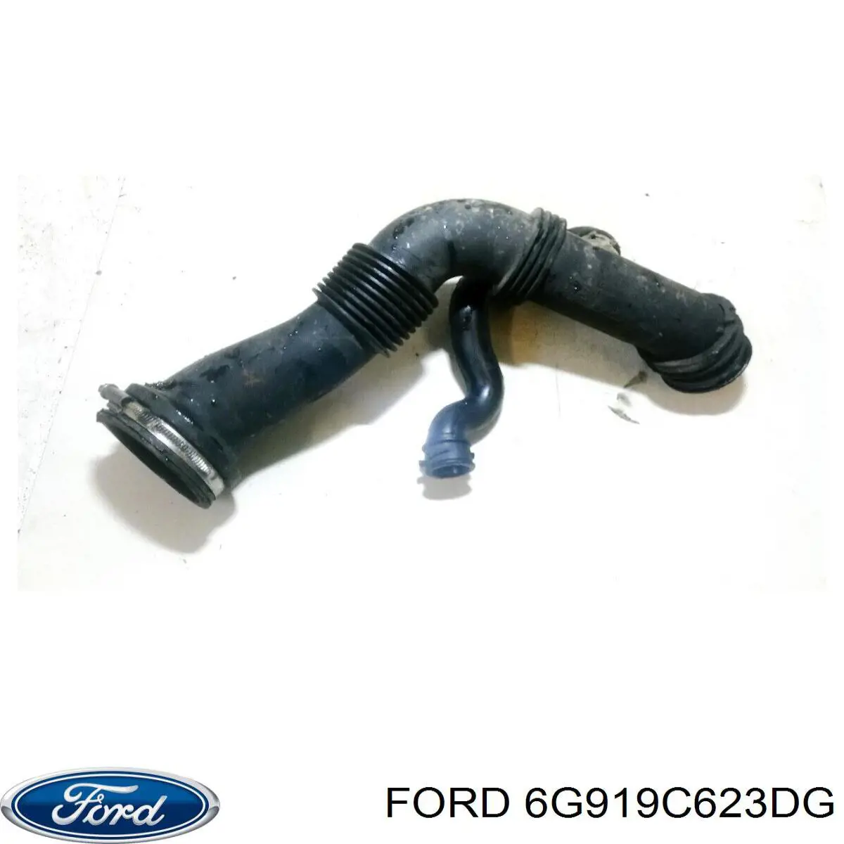 Купити 6G919C623DG Ford 