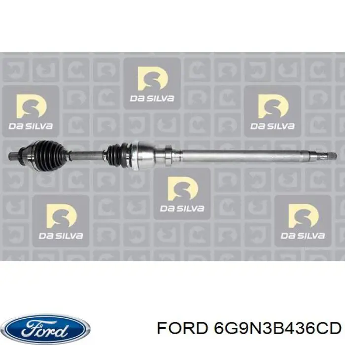  6G9N3B436CD Ford