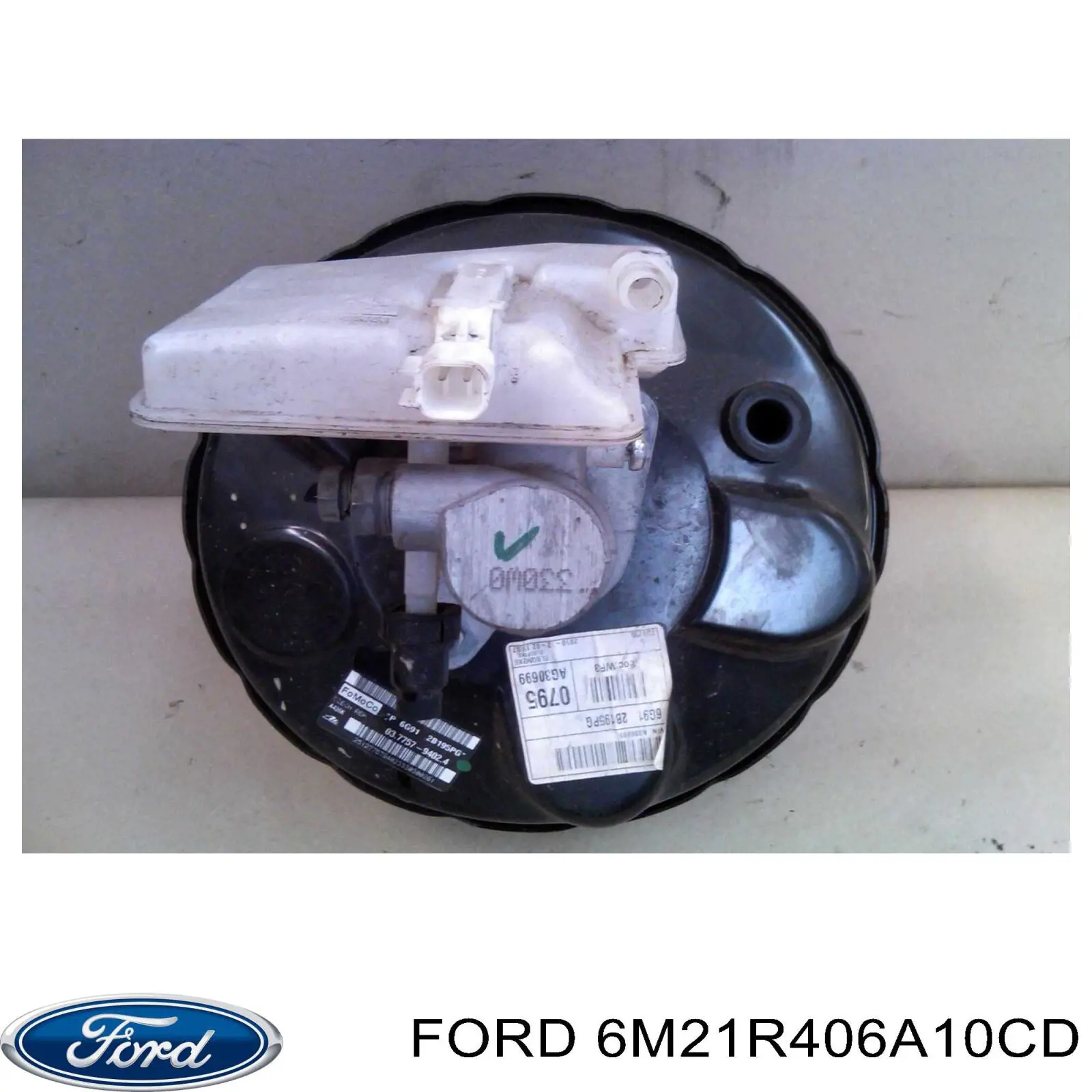 Купити 6M21R406A10CD Ford Амортизатор двері багажника