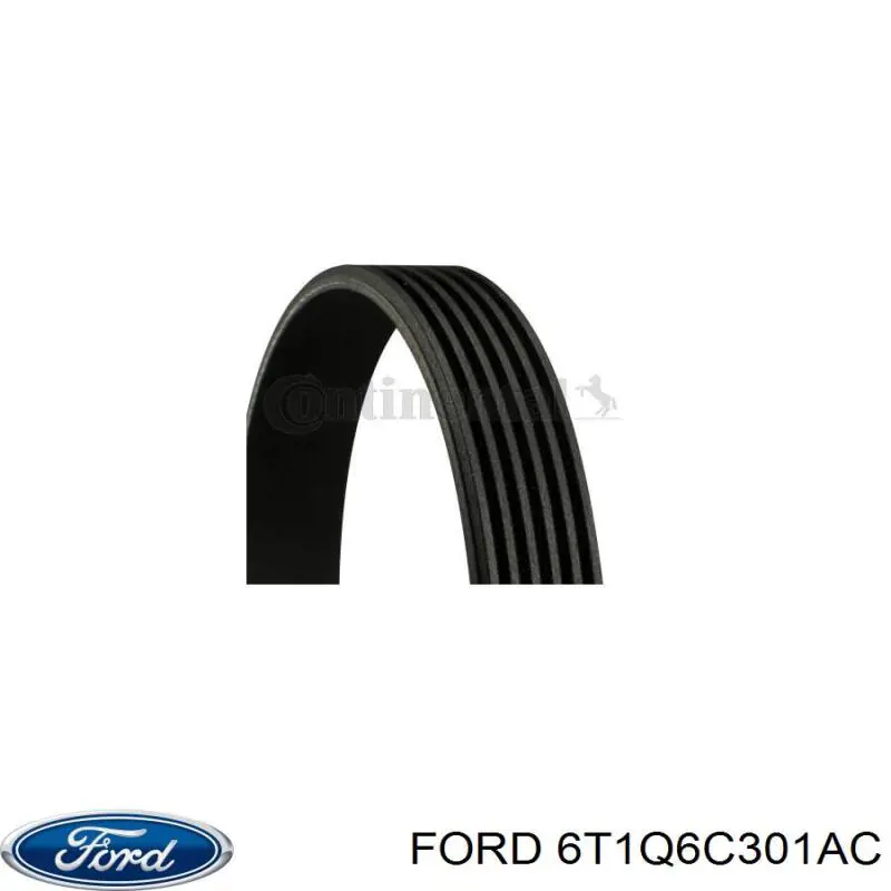 Ремінь генератора 6T1Q6C301AC Ford